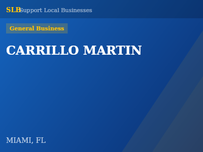 CARRILLO MARTIN — General Business in MIAMI, FL