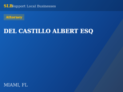 DEL CASTILLO ALBERT ESQ — Attorney in MIAMI, FL
