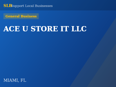 ACE U STORE IT LLC — General Business in MIAMI, FL