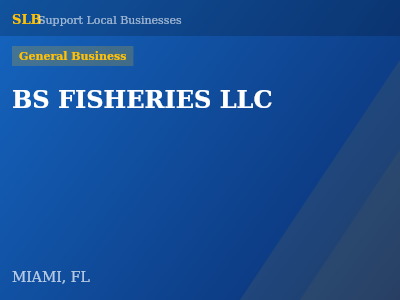 BS FISHERIES LLC — General Business in MIAMI, FL