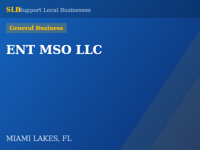 ENT MSO LLC — General Business in MIAMI LAKES, FL