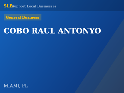 COBO RAUL ANTONYO — General Business in MIAMI, FL