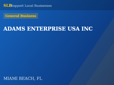ADAMS ENTERPRISE USA INC — General Business in MIAMI BEACH, FL