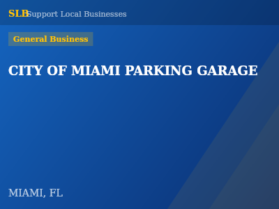CITY OF MIAMI PARKING GARAGE — General Business in MIAMI, FL