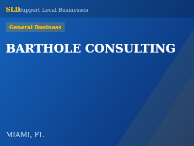 BARTHOLE CONSULTING — General Business in MIAMI, FL