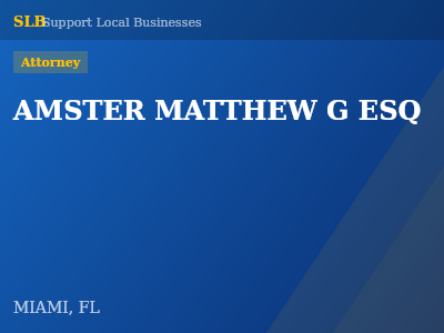AMSTER MATTHEW G ESQ — Attorney in MIAMI, FL