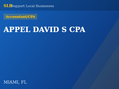 APPEL DAVID S CPA — Accountant/CPA in MIAMI, FL