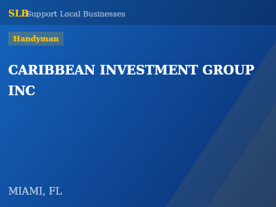 CARIBBEAN INVESTMENT GROUP INC — Handyman in MIAMI, FL