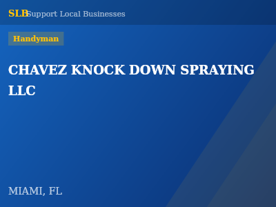 CHAVEZ KNOCK DOWN SPRAYING LLC — Handyman in MIAMI, FL