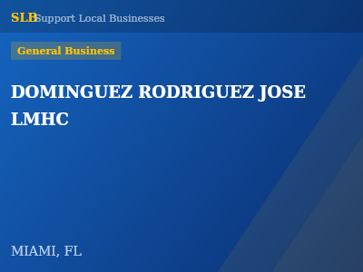DOMINGUEZ RODRIGUEZ JOSE LMHC — General Business in MIAMI, FL