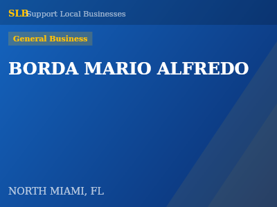 BORDA MARIO ALFREDO — General Business in NORTH MIAMI, FL