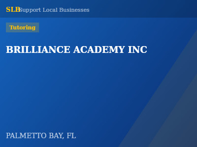 BRILLIANCE ACADEMY INC — Tutoring in PALMETTO BAY, FL