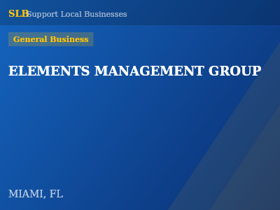 ELEMENTS MANAGEMENT GROUP — General Business in MIAMI, FL