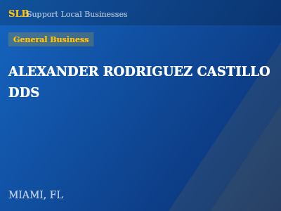 ALEXANDER RODRIGUEZ CASTILLO DDS — General Business in MIAMI, FL