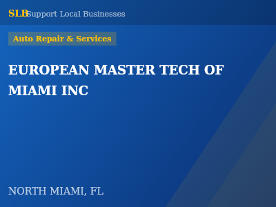 EUROPEAN MASTER TECH OF MIAMI INC — Auto Repair & Services in NORTH MIAMI, FL