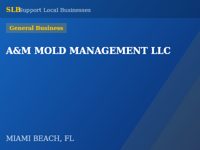 A&M MOLD MANAGEMENT LLC — General Business in MIAMI BEACH, FL