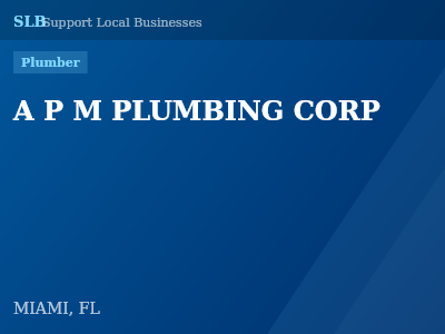 A P M PLUMBING CORP — Plumber in MIAMI, FL