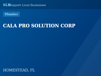 CALA PRO SOLUTION CORP — Plumber in HOMESTEAD, FL