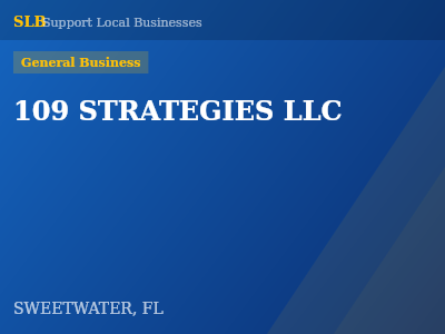 109 STRATEGIES LLC — General Business in SWEETWATER, FL
