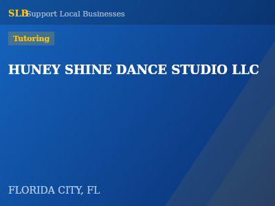 HUNEY SHINE DANCE STUDIO LLC — Tutoring in FLORIDA CITY, FL