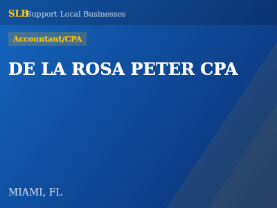 DE LA ROSA PETER CPA — Accountant/CPA in MIAMI, FL