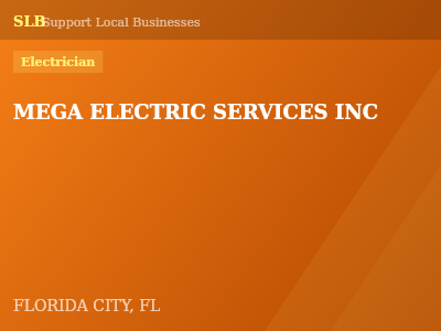 MEGA ELECTRIC SERVICES INC — Electrician in FLORIDA CITY, FL