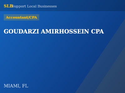 GOUDARZI AMIRHOSSEIN CPA — Accountant/CPA in MIAMI, FL