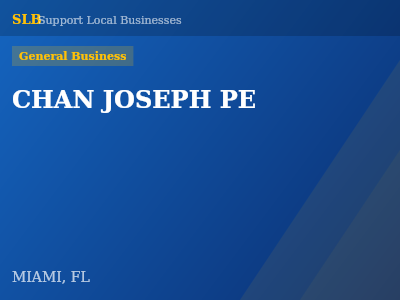 CHAN JOSEPH PE — General Business in MIAMI, FL