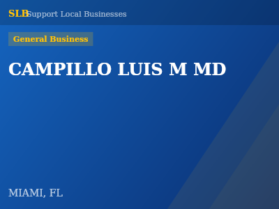CAMPILLO LUIS M MD — General Business in MIAMI, FL