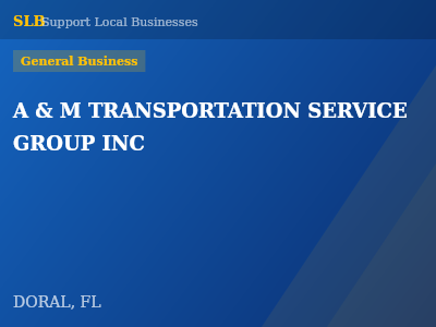 A & M TRANSPORTATION SERVICE GROUP INC — General Business in DORAL, FL