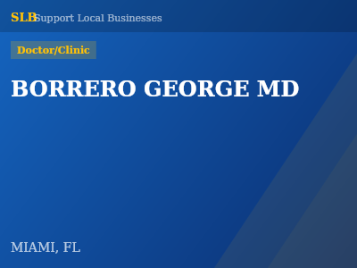 BORRERO GEORGE MD — Doctor/Clinic in MIAMI, FL