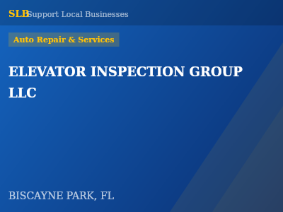 ELEVATOR INSPECTION GROUP LLC — Auto Repair & Services in BISCAYNE PARK, FL