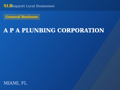 A P A PLUNBING CORPORATION — General Business in MIAMI, FL