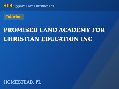 PROMISED LAND ACADEMY FOR CHRISTIAN EDUCATION INC — Tutoring in HOMESTEAD, FL