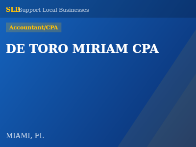 DE TORO MIRIAM CPA — Accountant/CPA in MIAMI, FL