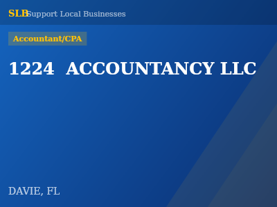 1224  ACCOUNTANCY LLC — Accountant/CPA in DAVIE, FL