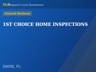 1ST CHOICE HOME INSPECTIONS — General Business in DAVIE, FL