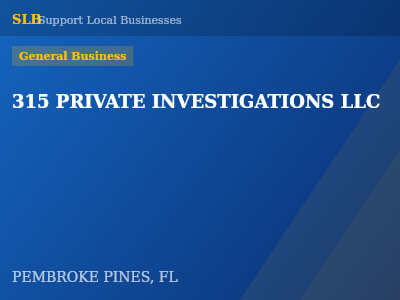 315 PRIVATE INVESTIGATIONS LLC — General Business in PEMBROKE PINES, FL