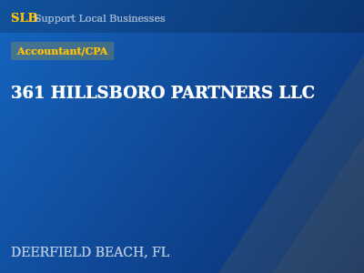 361 HILLSBORO PARTNERS LLC — Accountant/CPA in DEERFIELD BEACH, FL