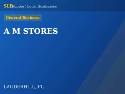 A M STORES — General Business in LAUDERHILL, FL