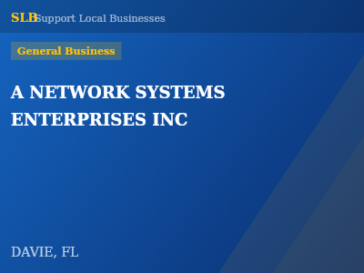 A NETWORK SYSTEMS ENTERPRISES INC — General Business in DAVIE, FL