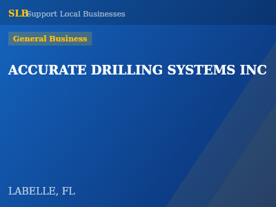 ACCURATE DRILLING SYSTEMS INC — General Business in LABELLE, FL