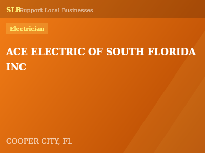 ACE ELECTRIC OF SOUTH FLORIDA INC — Electrician in COOPER CITY, FL