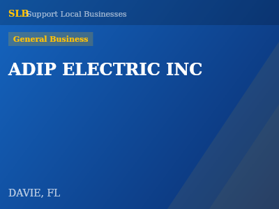 ADIP ELECTRIC INC — General Business in DAVIE, FL