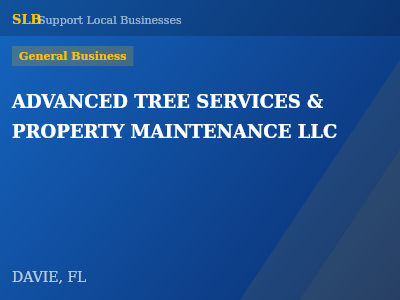 ADVANCED TREE SERVICES & PROPERTY MAINTENANCE LLC — General Business in DAVIE, FL