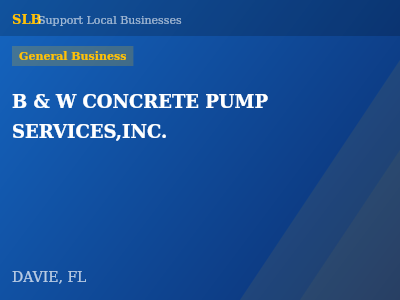 B & W CONCRETE PUMP SERVICES,INC. — General Business in DAVIE, FL