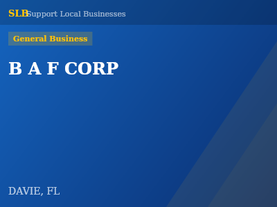 B A F CORP — General Business in DAVIE, FL