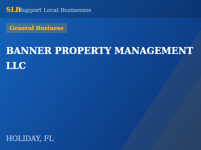 BANNER PROPERTY MANAGEMENT LLC — General Business in HOLIDAY, FL