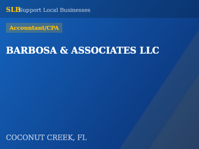 BARBOSA & ASSOCIATES LLC — Accountant/CPA in COCONUT CREEK, FL
