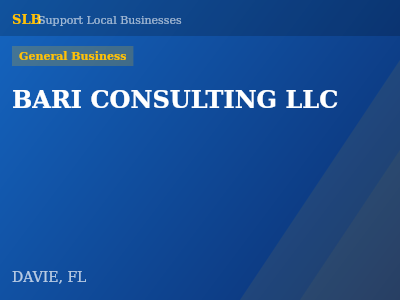 BARI CONSULTING LLC — General Business in DAVIE, FL